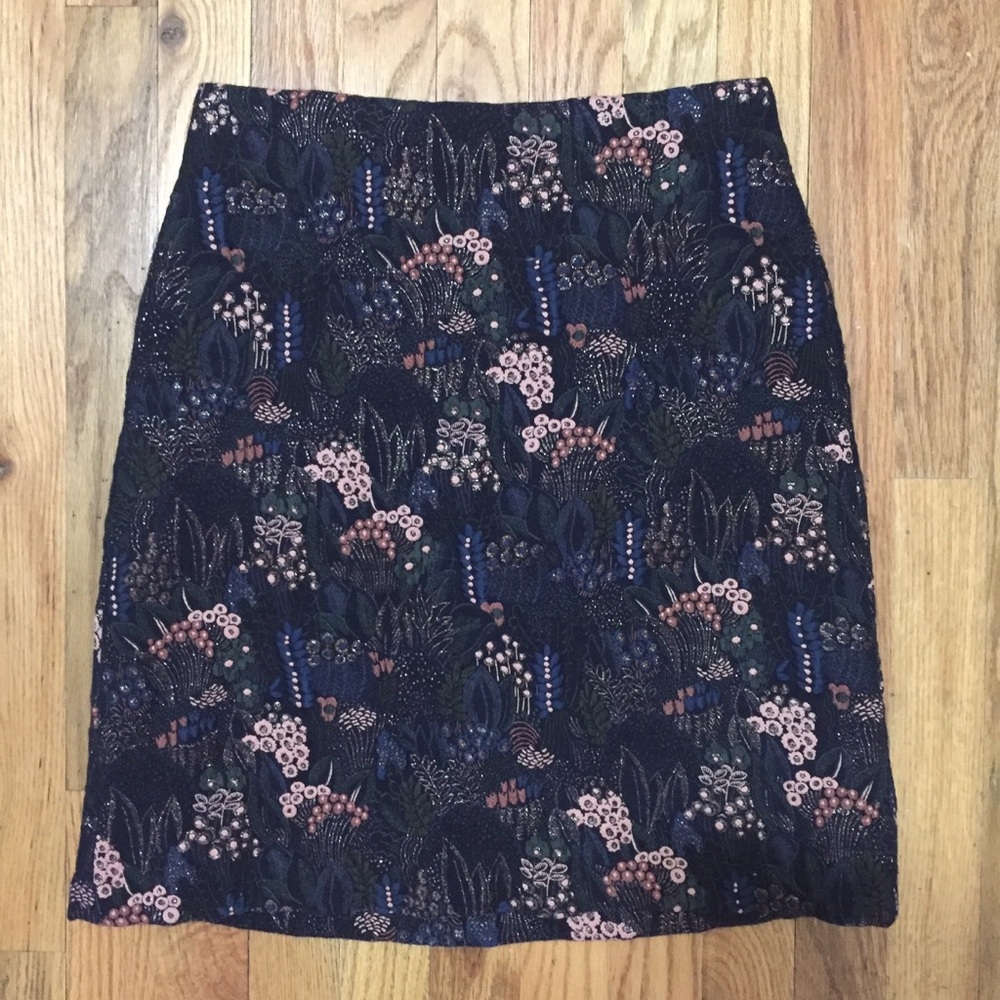 Ann Taylor Night Garden Embroidered Skirt